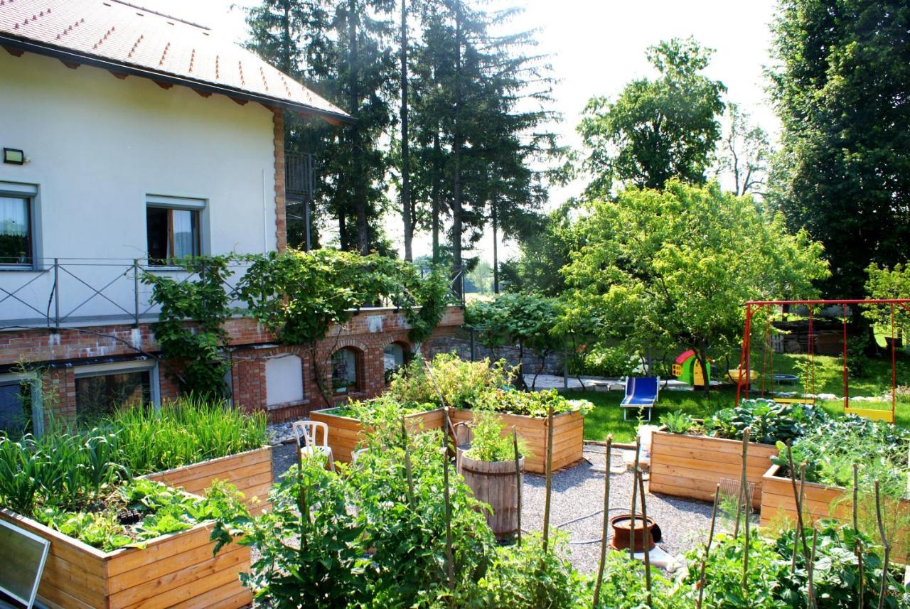 Leni Apartment Postojna