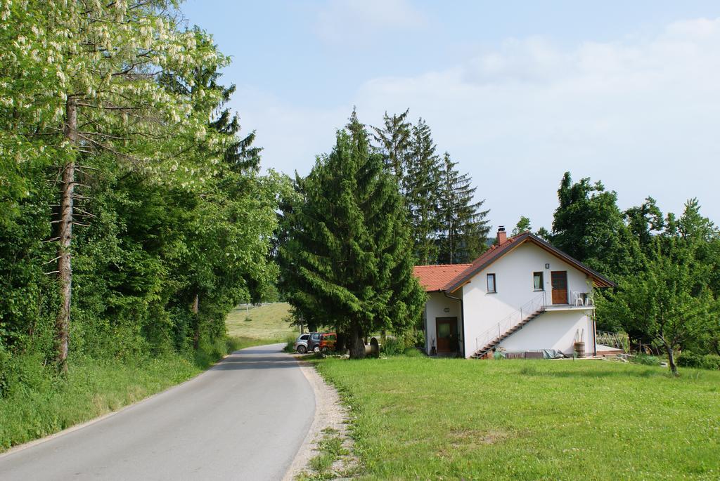 Apartment Leni Postojna